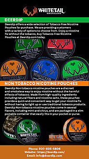 Non tobacco nicotine pouches