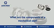 What are the components of a mechanical seal?- Leakpack