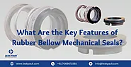 What Are the Key Features of Rubber Bellow Mechanical Seals?