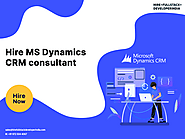 Hire MS Dynamics CRM consultant