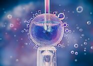 Assisted Reproductive Technologies: Breaking Down the Options for Fertility Treatment