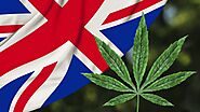 Tips to Find Out: If Your CBD Flower UK Is Good Quality – HighNSupply