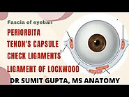 FASCIA OF ORBIT & EYEBALL | Tenon' capsule | Ligament of Lockwood's | Periorbita | Check ligaments |