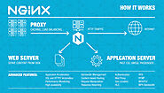 Pure Nginx Hosting from CooliceHost.com