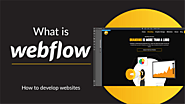 Can Webflow Be Self-hosted?