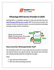 WhatsApp SMS Service Provider in Delhi