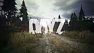 The Best DayZ Standalone Server Hosting Reviewed | Unboxed Reviews