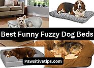 A Comprehensive Guide to Funny Fuzzy Dog Bed Reviews: Which One Is Right for Your Pup?