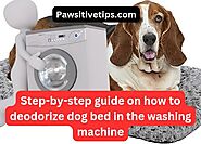 How To Deodorize Dog Bed In The Washing Machine - Pawsitive Tips