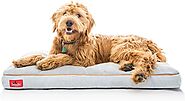 What Is The Best Dog Bed For Dogs With Arthritis? - Pawsitive Tips
