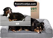 What Is The Difference Between Orthopedic And Memory Foam Dog Beds? - Pawsitive Tips