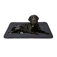 5 Best-selling Chew Proof Dog Beds For Crates - Pawsitive Tips