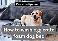 How To Wash Egg Crate Foam Dog Bed