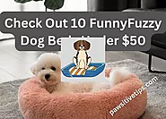 10 Amazing Funny Fuzzy Dog Beds Under $50