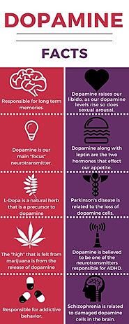 Dopamine facts Infographic