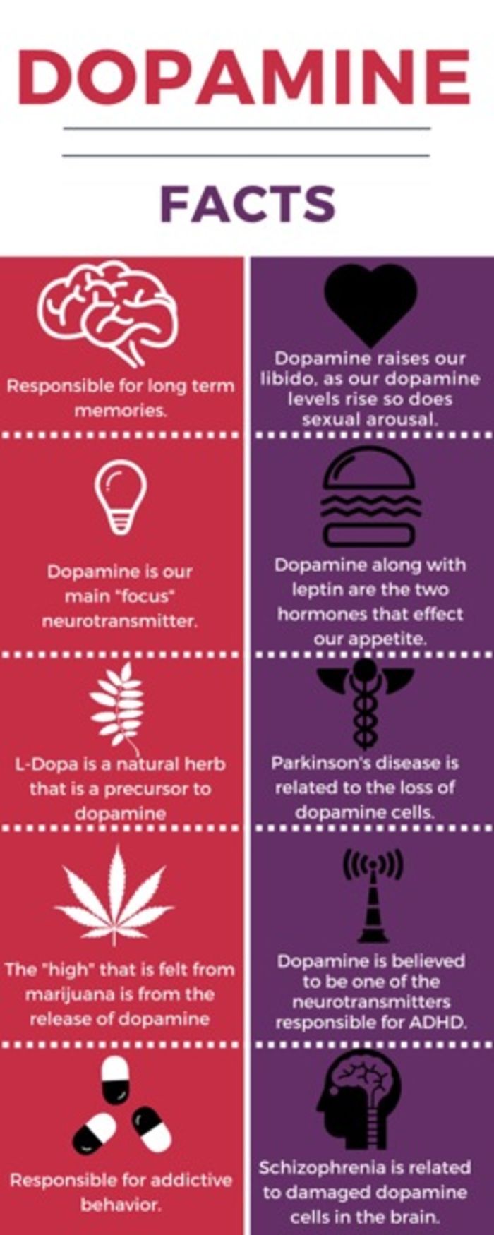 Dopamine facts Infographic | A Listly List