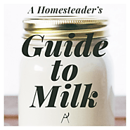 Using Milk on the Homestead — Anne of All Trades
