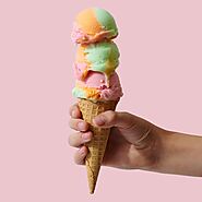 Courses - The Bite Shot: Food Photography Education