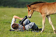 Wildlife/Nature Photography as a Career Option : How to become a Wildlife Photographer - Adventure Careers in India, ...