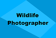 How to Become a Wildlife Photographer in India | Simple Guide