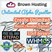 🔥 Unlimited Alpha Master Reseller Web hosting Free SSL SSD Fast Servers Monthly | eBay