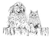 Draw animals in different styles by Tayna_r | Fiverr