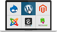 Web Hosting South Africa | Fast Website Hosting, Free Domain and 24x7 Support - Smartweb