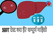 SGOT परिक्षण क्या हैं? संपूर्ण माहिती SGOT Test in Hindi
