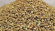 Health tips: Ajwain For Diabetes, Know How They Work | Ajwain For Diabetes: వాముతో డయాబెటిస్ కు చెక్ పెట్టండి ఇలా! లై...