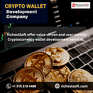 Crypto Wallet Development Company | 2023 Reviews - RichestSoft