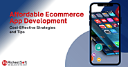 Custom Ecommerce App Development Solutions - Power Your Online Store