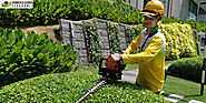 How do you Find and Hire a Garden Clearance Company in Sutton?