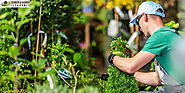 Importance of Using a Specialist Garden Clearance Company in Merton