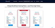 Wordpress Hosting in Pakistan Fully managed WordPress hosting in Pakistan with free domain, SSD storage,… | Web hosti...