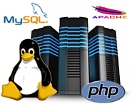 PHP Web Hosting Pakistan | MySQL Server | Free Domain | Linux Hosting – Web World Center