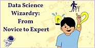 Data Science Wizardry: From Novice to Expert in 2023