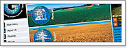 Trinicom Communications, LLC - VoIP, Web Design, and Hosting in Houston
