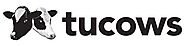 Web Design Houston SEO Local Digital Marketing Web Hosting Kingwood