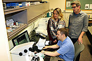 Information Technology Services