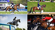 Olympic Paris Organizing Team gears up for Equestrian events at Paris Olympic - Rugby World Cup Tickets | Olympics Ti...