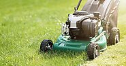 Lawn experts urge gardeners to take action now before weather warms up - Leicestershire Live