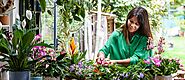 7 ways to save money on house plants | BBC Gardeners World Magazine