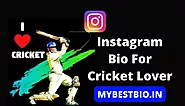 Best 201+ Cricket Lover Bio For Instagram | Instagram Bio For Cricket Lover
