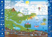 The Water Cycle Diagram for Kids