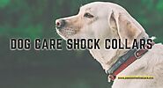 Use Of Dog Care Shock Collar Levels