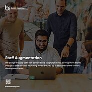 Staff Augmentation