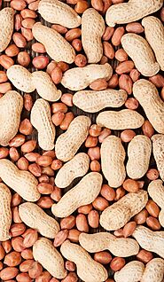 Get Top Quality Indian Peanut for Products and Snacks | AgroCrops
