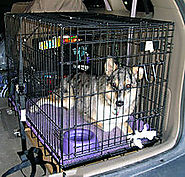 Dog crate - Wikipedia, the free encyclopedia