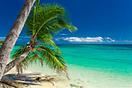 iframely: Explore the Paradise of Fiji: Your Ultimate Travel Guide | GoFiji.net