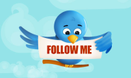 Is Following Everyone Equal to Buying Twitter Followers?